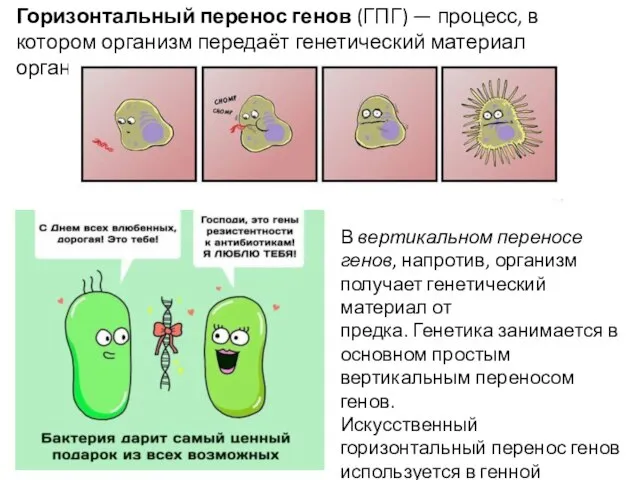 Горизонтальный перенос генов (ГПГ) — процесс, в котором организм передаёт генетический