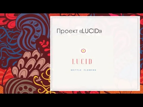 Проект «LUCID»