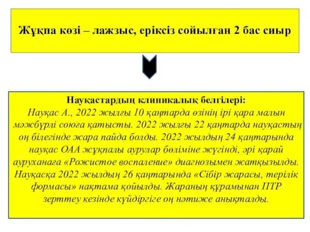 Жұқпа көзі – лажзыс, еріксіз сойылған 2 бас сиыр Науқастардың клиникалық