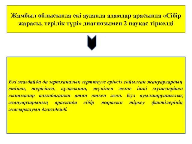 Жамбыл облысында екі ауданда адамдар арасында «Сібір жарасы, терілік түрі» диагнозымен