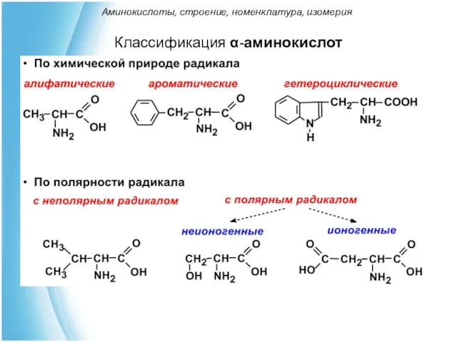 Классификация α-аминокислот Аминокислоты, строение, номенклатура, изомерия