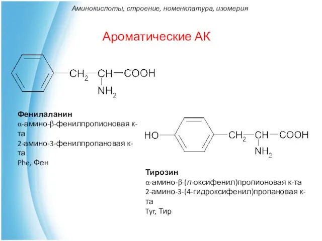 Ароматические АК Фенилаланин α-амино-β-фенилпропионовая к-та 2-амино-3-фенилпропановая к-та Phe, Фен Тирозин α-амино-β-(п-оксифенил)пропионовая