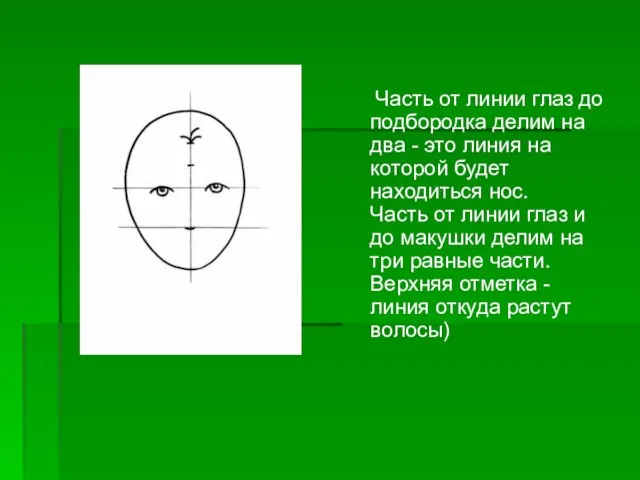 Часть от линии глаз до подбородка делим на два - это