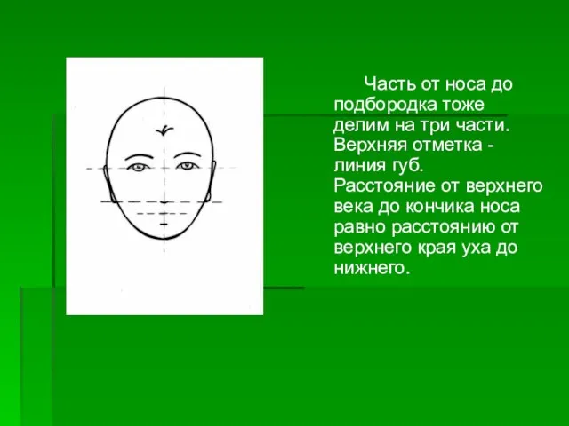 Часть от носа до подбородка тоже делим на три части. Верхняя