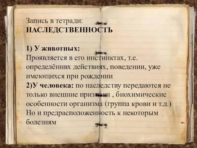 Запись в тетради: НАСЛЕДСТВЕННОСТЬ 1) У животных: Проявляется в его инстинктах,