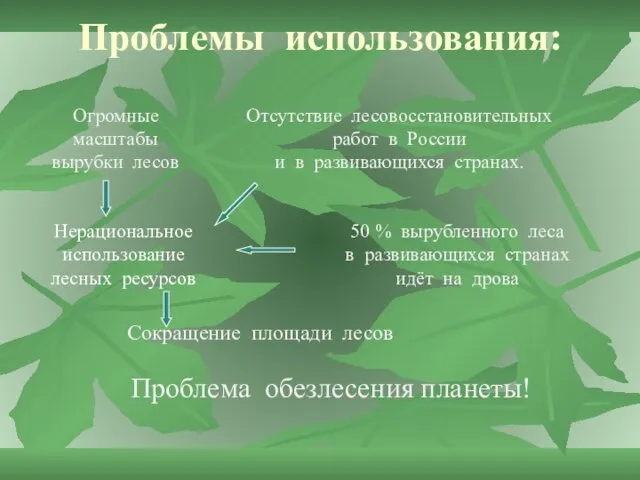 Проблемы использования: Сокращение площади лесов Нерациональное использование лесных ресурсов 50 %