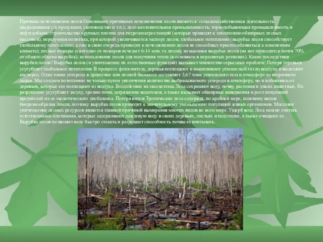 Причины исчезновения лесов Основными причинами исчезновения лесов являются: сельскохозяйственная деятельность (выращивания