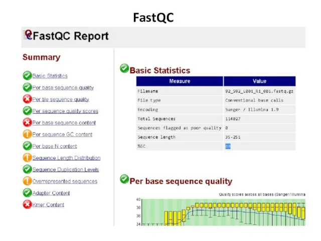 FastQC