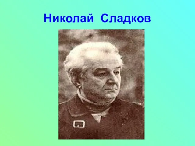 Николай Сладков