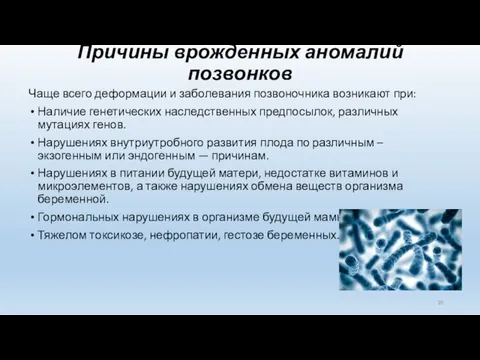 Причины врожденных аномалий позвонков Чаще всего деформации и заболевания позвоночника возникают