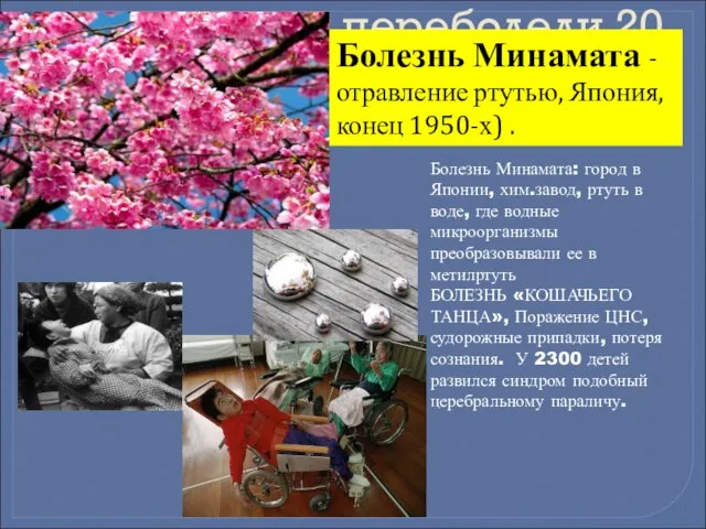 , котороц переболели 20 млн. Болезнь Минамата - отравление ртутью, Япония,