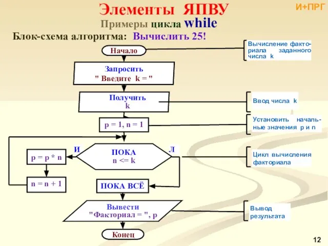 Примеры цикла while Блок-схема алгоритма: Вычислить 25! Элементы ЯПВУ И+ПРГ