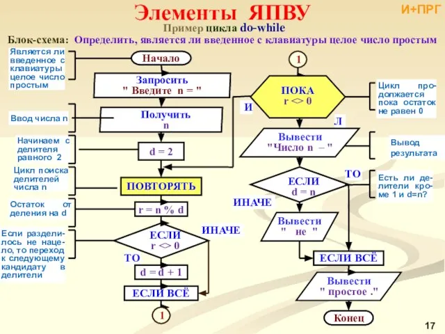 Пример цикла do-while Блок-схема: Определить, является ли введенное с клавиатуры целое число простым Элементы ЯПВУ И+ПРГ