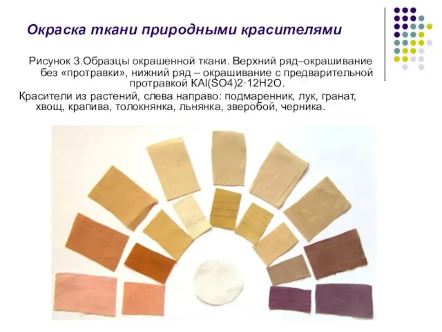 Окраска ткани природными красителями Рисунок 3.Образцы окрашенной ткани. Верхний ряд–окрашивание без