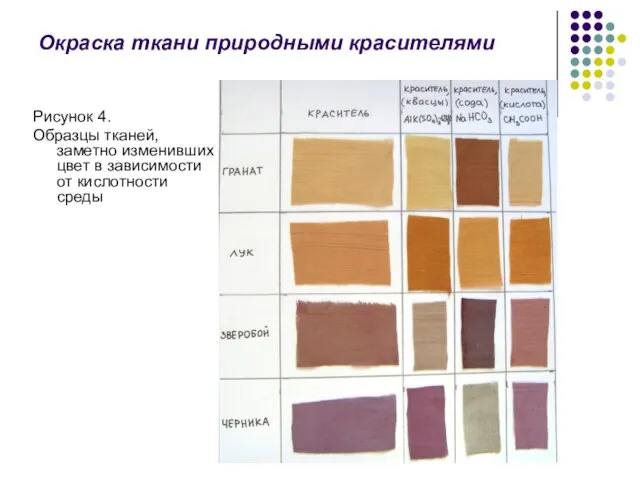 Окраска ткани природными красителями Рисунок 4. Образцы тканей, заметно изменивших цвет в зависимости от кислотности среды