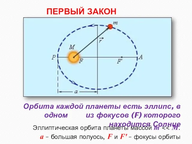 Орбита каждой планеты есть эллипс, в одном из фокусов (F) которого