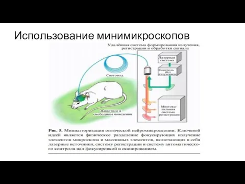 Использование минимикроскопов