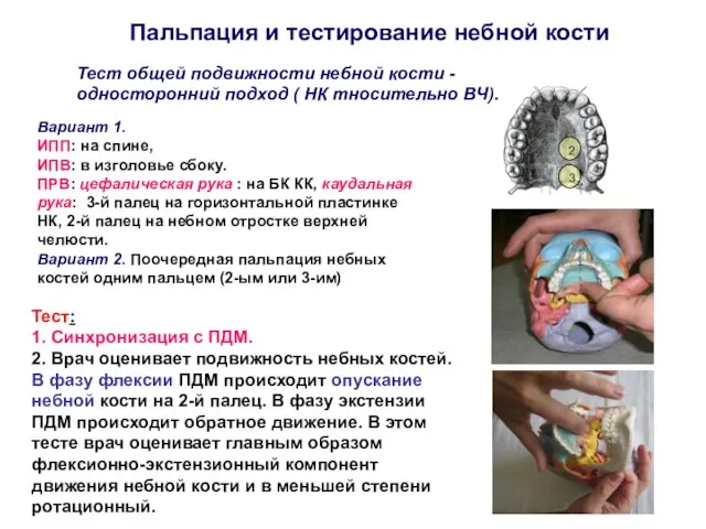 Вариант 1. ИПП: на спине, ИПВ: в изголовье сбоку. ПРВ: цефалическая