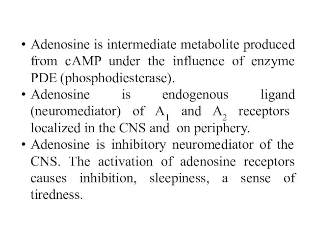 Adenosine is intermediate metabolite produced from cAMP under the influence of