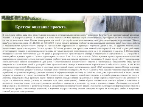 В Советском районе есть одна-единственная конюшня в муниципальном автономном учреждении физкультурно-оздоровительный