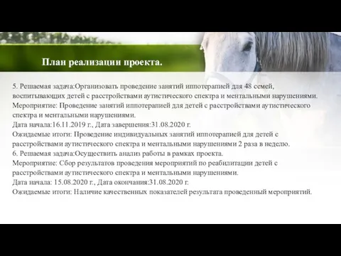 План реализации проекта. 5. Решаемая задача:Организовать проведение занятий иппотерапией для 48