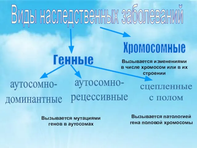 Виды наследственных заболеваний Генные Хромосомные Вызывается изменениями в числе хромосом или