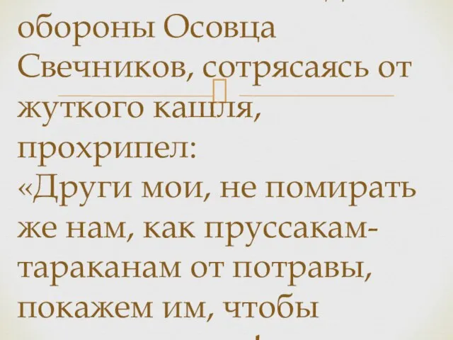 Начальник 2-го отдела обороны Осовца Свечников, сотрясаясь от жуткого кашля, прохрипел: