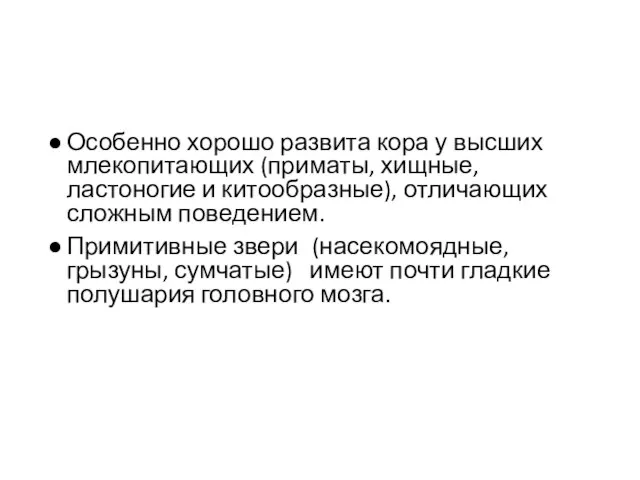 Особенно хорошо развита кора у высших млекопитающих (приматы, хищные, ластоногие и