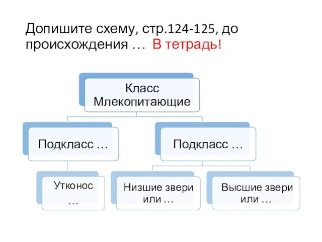 Допишите схему, стр.124-125, до происхождения … В тетрадь!