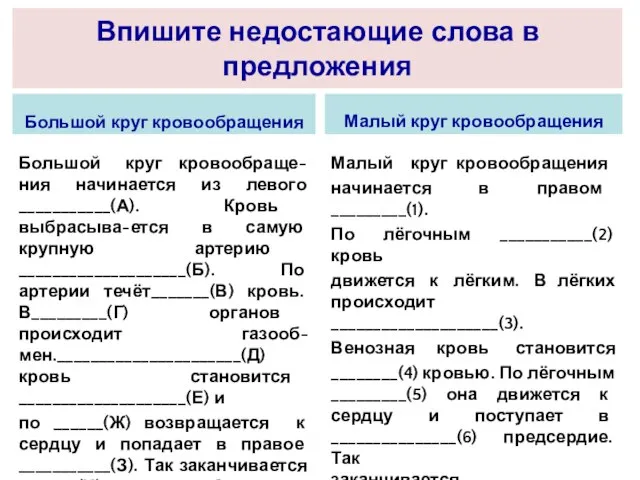 Впишите недостающие слова в предложения Большой круг кровообращения Большой круг кровообраще-