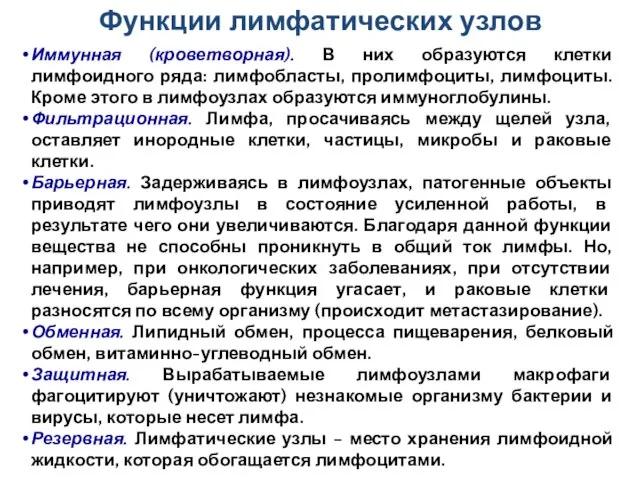 Иммунная (кроветворная). В них образуются клетки лимфоидного ряда: лимфобласты, пролимфоциты, лимфоциты.