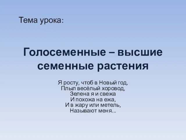 Голосеменные – высшие семенные растения Я росту, чтоб в Новый год,