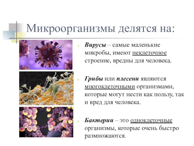 Микроорганизмы делятся на: Вирусы – самые маленькие микробы, имеют неклеточное строение,