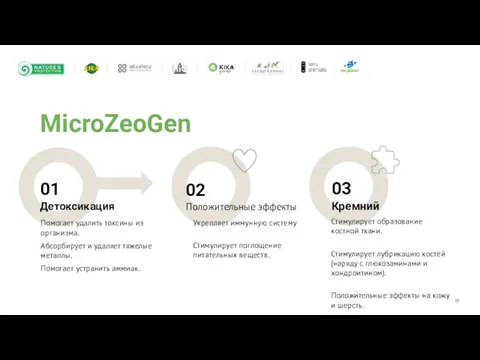 MicroZeoGen