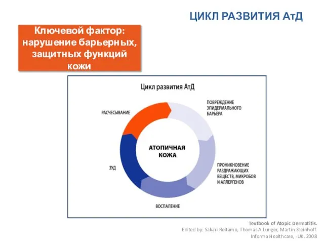 ЦИКЛ РАЗВИТИЯ АтД Ключевой фактор: нарушение барьерных, защитных функций кожи Textbook