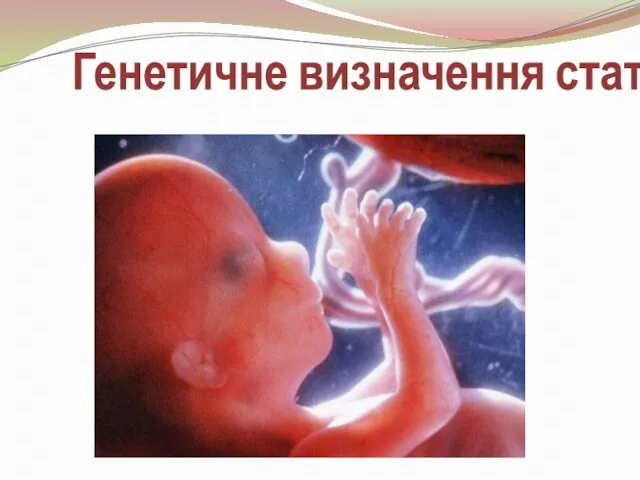 Генетичне визначення статі