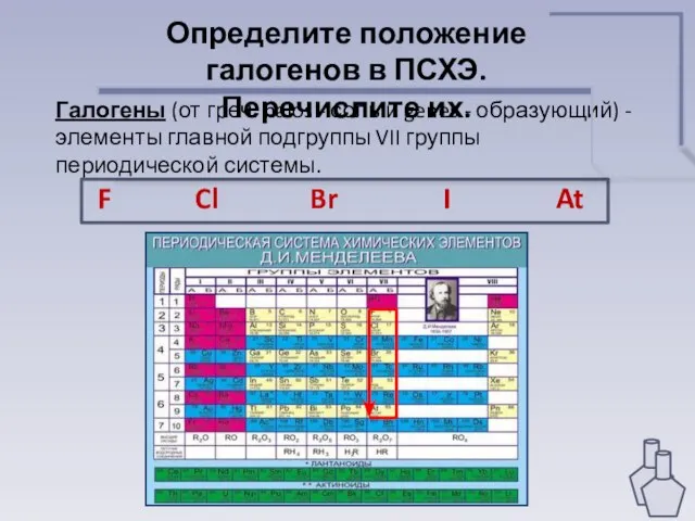 Определите положение галогенов в ПСХЭ. Перечислите их. Галогены (от греч. halos