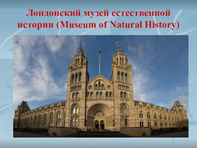 Лондонский музей естественной истории (Museum of Natural History)