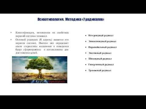 Психотипология. Методика «7 радикалов» Классификация, основанная на свойствах нервной системы человека.