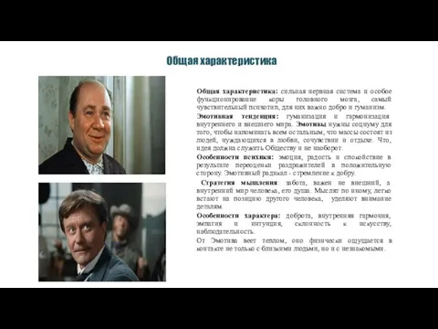 Общая характеристика: сильная нервная система и особое функционирование коры головного мозга,