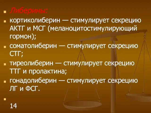 Либерины: кортиколиберин — стимулирует секрецию АКТГ и МСГ (меланоцитостимулирующий гормон); соматолиберин