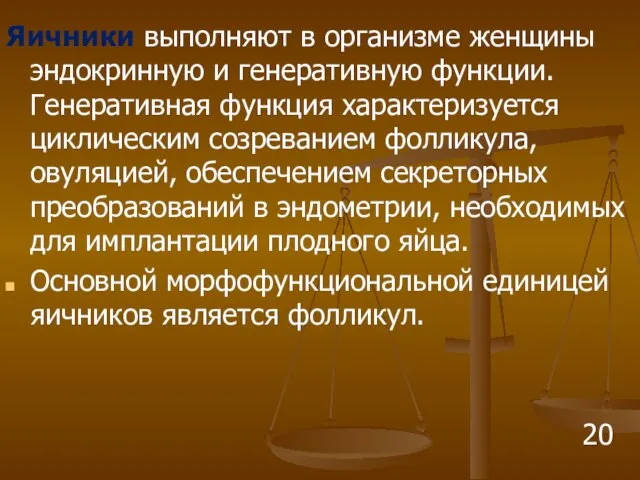 Яичники выполняют в организме женщины эндокринную и генеративную функции. Генеративная функция