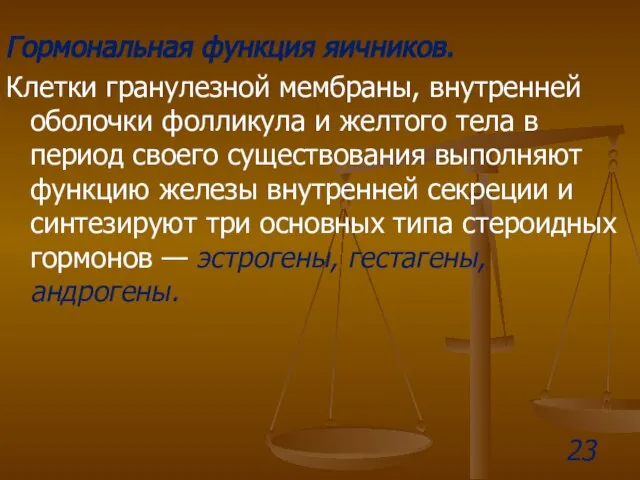 Гормональная функция яичников. Клетки гранулезной мембраны, внутренней оболочки фолликула и желтого