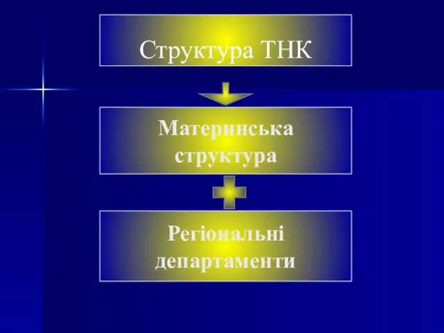 Структура ТНК Материнська структура Регіональні департаменти