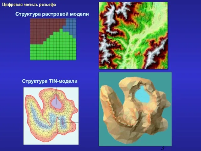 Структура растровой модели Цифровая модель рельефа Структура TIN-модели