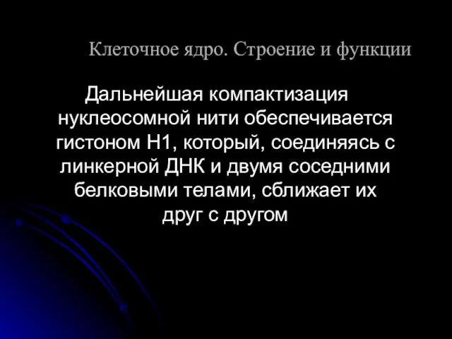 Дальнейшая компактизация нуклеосомной нити обеспечивается гистоном Н1, который, соединяясь с линкерной