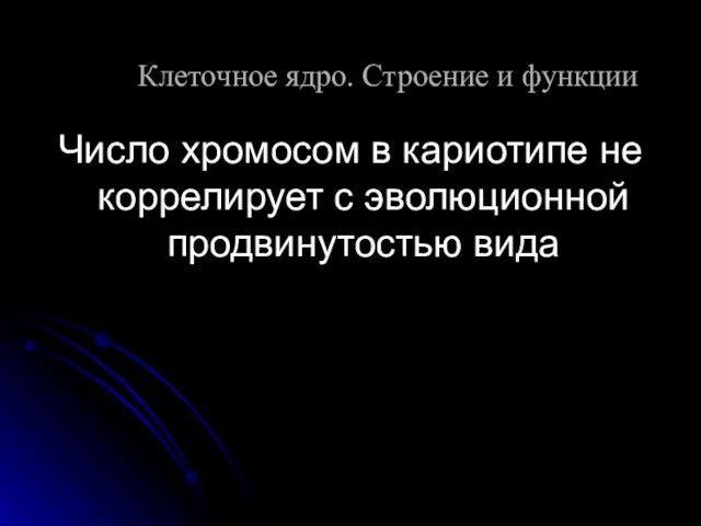 Число хромосом в кариотипе не коррелирует с эволюционной продвинутостью вида