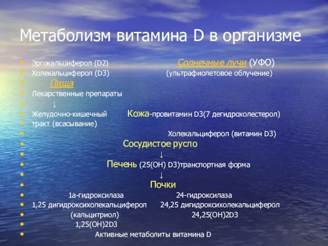 Метаболизм витамина D в организме Эргокальциферол (D2) Солнечные лучи (УФО) Холекальциферол