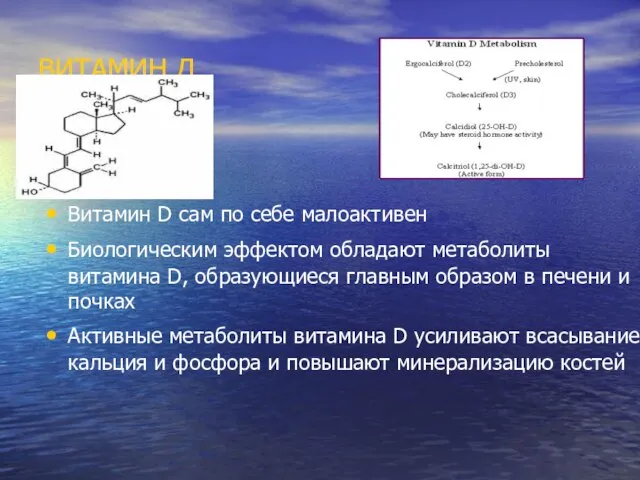 ВИТАМИН Д Витамин D сам по себе малоактивен Биологическим эффектом обладают