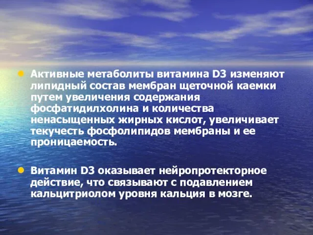 Активные метаболиты витамина D3 изменяют липидный состав мембран щеточной каемки путем